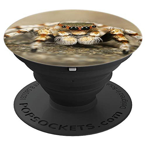 Jumping Spider Cute Tarantula Love Spiders Gift Nature Photo PopSockets Grip and Stand for Phones and Tablets