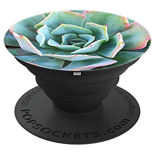 Mint Green with Pink Cactus Succulent Closeup Photo PopSockets Grip and Stand for Phones and Tablets