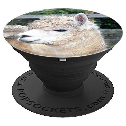 Alpaca Llama Cute Animal Lover Gift Nature Photo Design PopSockets Grip and Stand for Phones and Tablets Alpaca Llama Cute Animal Lover Gift Nature Photo Design PopSockets Grip and Stand for Phones and Tablets