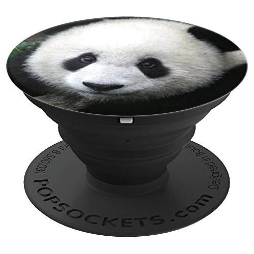 Cute Panda Face Photo Nature Wildlife Animal Pandas PopSockets Grip and Stand for Phones and Tablets