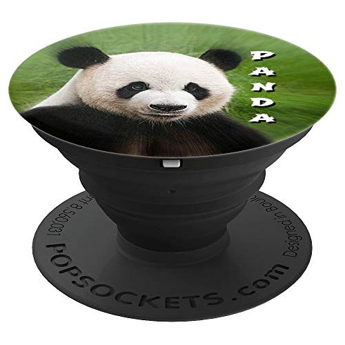 Cute Panda Pandas Wildlife Animal Photo Gift Animal Lovers PopSockets Grip and Stand for Phones and Tablets Cute Panda Pandas Wildlife Animal Photo Gift Animal Lovers PopSockets Grip and Stand for Phones and Tablets