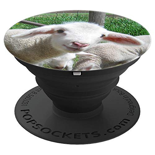 Cute Baby Sheep Funny Lamb Photo Animal Lover Gift PopSockets Grip and Stand for Phones and Tablets