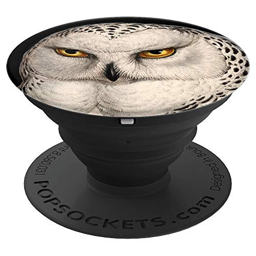 Vintage Wildlife Art Snowy Barn Owl Picture PopSockets Grip and Stand for Phones and Tablets