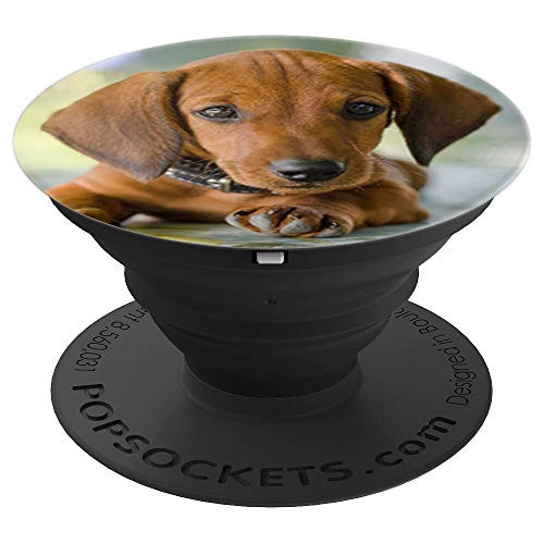 Cute Dachshund Photo Design Weiner Dog Doxie Lover Gift PopSockets Grip and Stand for Phones and Tablets