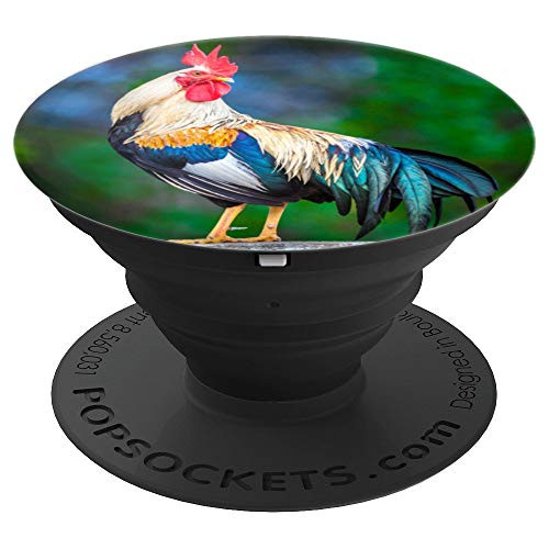 Ever Pretty Realistic Photo Rooster Turquoise Yellow And Red PopSockets Grip and Stand for Phones and Tablets