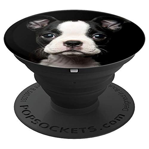 Cute Boston Terrier Dog Photo Portrait Design On White PopSockets Grip and Stand for Phones and Tablets Cute Boston Terrier Dog Photo Portrait Design On White PopSockets Grip and Stand for Phones and Tablets