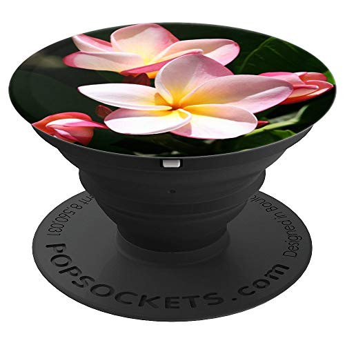 Plumeria Hawaiian Tropical Flower Photo Design PopSockets Grip and Stand for Phones and Tablets