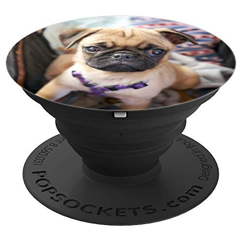 Adorable Cute Pug Puppy Photo PopSockets Grip and Stand for Phones and Tablets Adorable Cute Pug Puppy Photo PopSockets Grip and Stand for Phones and Tablets