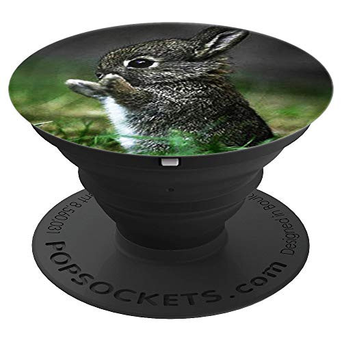 Cute Rabbit Bunny Pop Socket Pet Hug Photo PopSockets Grip and Stand for Phones and Tablets
