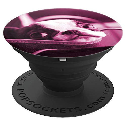 Cute Boston Terrier Dog Photo Design On Magenta PopSockets Grip and Stand for Phones and Tablets Cute Boston Terrier Dog Photo Design On Magenta PopSockets Grip and Stand for Phones and Tablets