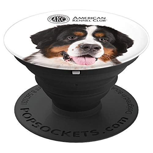 AKC Bernese Mountain Dog Photo PopSocket PopSockets Grip and Stand for Phones and Tablets