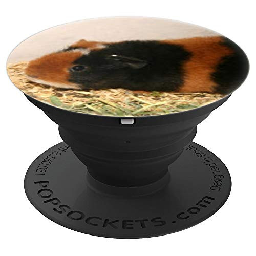 Guinea Pig Pet Cavy Picture Teddy TSW Tortoiseshell White PopSockets Grip and Stand for Phones and Tablets