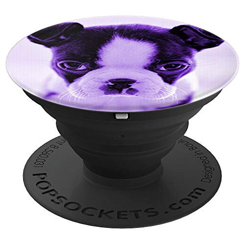 Cute Boston Terrier Dog Photo Design On Purple PopSockets Grip and Stand for Phones and Tablets Cute Boston Terrier Dog Photo Design On Purple PopSockets Grip and Stand for Phones and Tablets