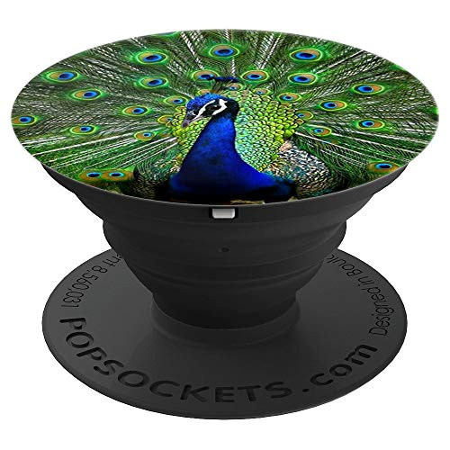 Peacock Feather Bird Picture PopSockets Grip and Stand for Phones and Tablets Peacock Feather Bird Picture PopSockets Grip and Stand for Phones and Tablets