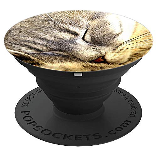 Cat Nap  Sleeping Cute Face Photo For Kitten Lovers PopSockets Grip and Stand for Phones and Tablets