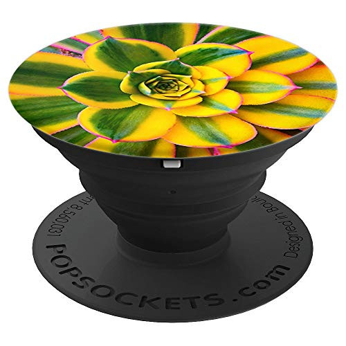Yellow  green striped hot pink tipped cactus closeup photo PopSockets Grip and Stand for Phones and Tablets