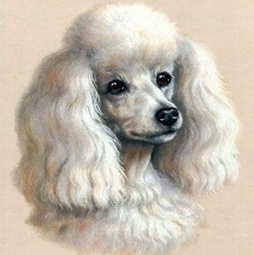 YUMEART Cute Poodle Full Drill Square Diamond Embroidery Cross Stitch Lovely Dog Diamond Mosaic Pictures of Rhinestones