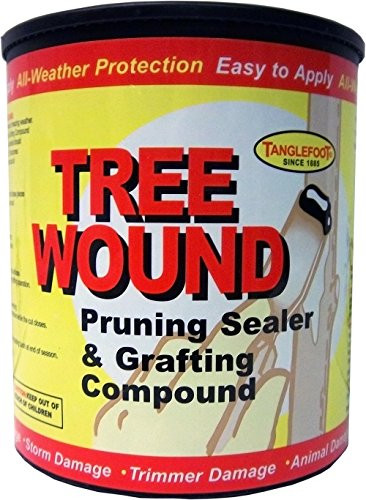 Tanglefoot Tree Wound Pruning Sealer  Grafting Compound