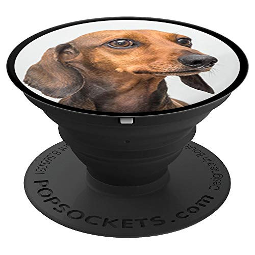 Unique  Cute Dachshund Photo  Dog Lover Gift PACJ1217 PopSockets Grip and Stand for Phones and Tablets