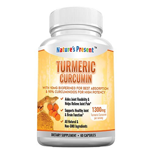 Turmeric Curcumin with Bioperine and 95 Standardized Curcuminoids Best Absorption and Max Potency Antiinflammatory Joint Pain Relief and Antiaging Supplement GMP Certificated  60 Capsules