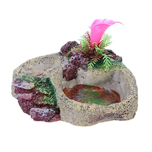 POPETPOP Reptile Water Bowl Reptile Feeder Food Dish for Tortoise Lizard Frog Leopard Gecko Snake Chameleon Bearded Dragon Accessories SP008 POPETPOP Reptile Water Bowl Reptile Feeder Food Dish for Tortoise Lizard Frog Leopard Gecko Snake Chameleon Bearded Dragon Accessories SP008