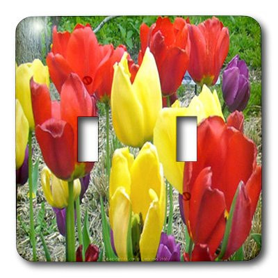 3dRose lsp_5985_2"Red, Yellow And Purple Tulips" Double Toggle Switch Multicolor