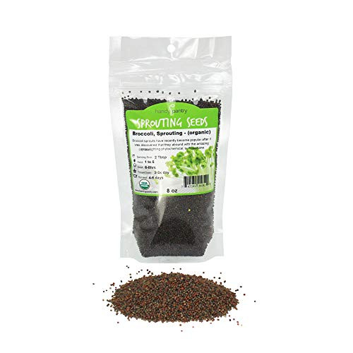 Organic Broccoli Sprouting Seeds By Handy Pantry  8 oz Resealable Bag  NonGMO Broccoli Sprouts Seeds Contains Sulforaphane