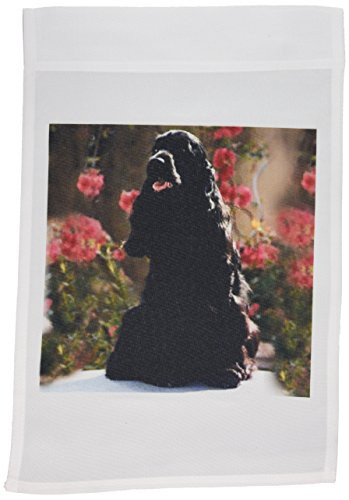 3dRose fl10251 English Cocker Spaniel Black Garden Flag 12 by 18Inch