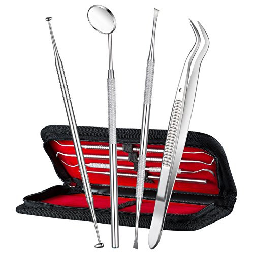 Stainless Steel Dental Hygiene Kit Oral Care