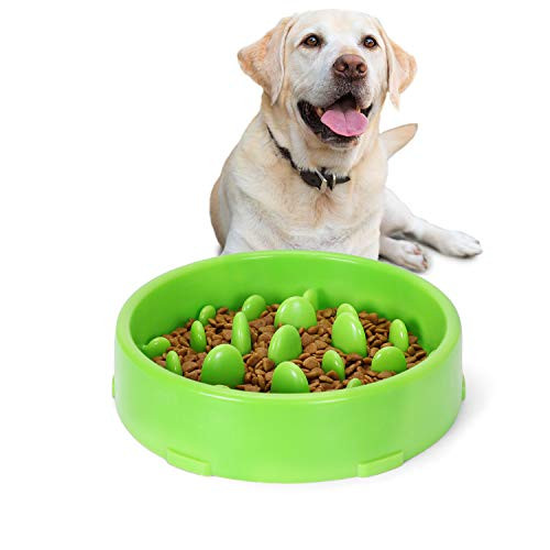 JASGOOD Slow Feeder Dog Bowl New Arriving Slow Feeding Interactive Bloat Stop Dog BowlsGreen Medium