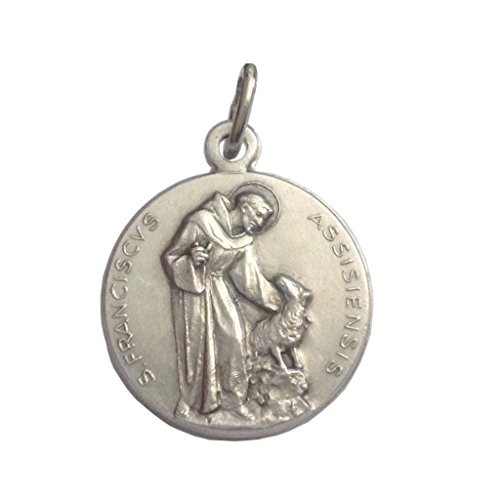 Saint Francis of Assisi Medal  The Patron Saints Medals 100 Made in Italy StFrancis with The Wolf