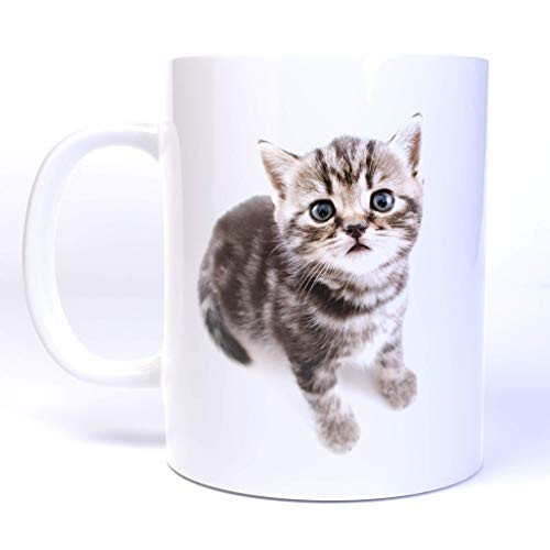 Cute Kitten Trapped on a Coffee Mug  11 Ounce Ceramic Coffee Mug