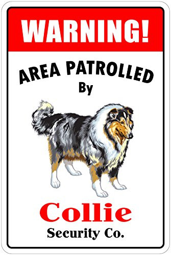 StickerPirate Warning Area Patrolled by Collie 8X12 Novelty Dog Sign