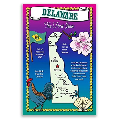 DELAWARE STATE MAP postcard set of 20 identical postcards Post cards with DE map and state symbols Made in USA