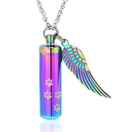 shajwo Cremation Jewelry Paw Print Urn Necklaces for Human Pet Ashes Cylinder Urn Pendant Keepsake Memorial Ash Locket Holder Necklace for Men WomenRainbow
