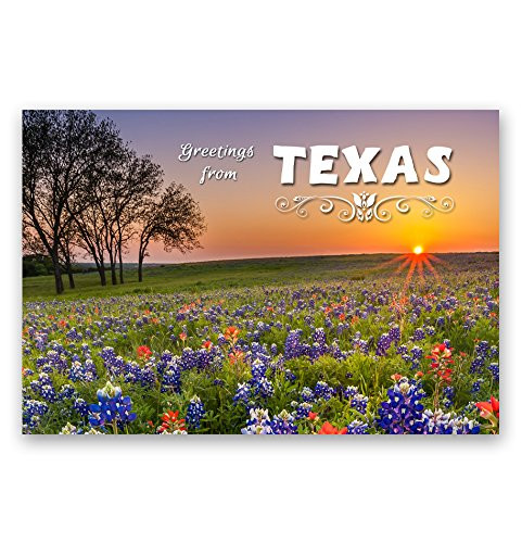 GREETINGS FROM TEXAS postcard set of 20 identical postcards TX post cards Made in USA