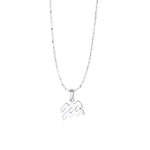 Aquarius Zodiac Necklace Star Sign Astrology Necklace Birthday Gift for Her Aquarius