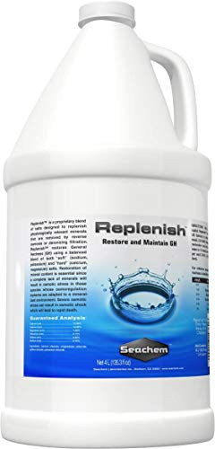 Replenish 4 L  1 fl gal