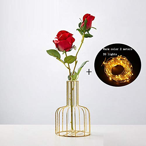 SHAN Plant vase hydroponic Plant Tabletop Glass Planter Wrought Iron vase hydroponic Plant Container Glass Planter Test Tube vase Free Light Strip C11Pack SHAN Plant vase hydroponic Plant Tabletop Glass Planter Wrought Iron vase hydroponic Plant Container Glass Planter Test Tube vase Free Light Strip C11Pack