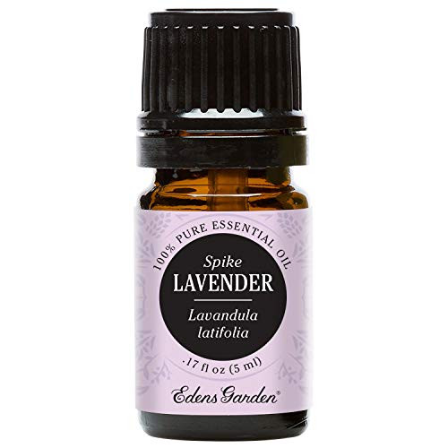 Edens Garden Lavender Spike Essential Oil 100 Pure Therapeutic Grade Congestion Massage 5 ml Edens Garden Lavender Spike Essential Oil 100 Pure Therapeutic Grade Congestion Massage 5 ml