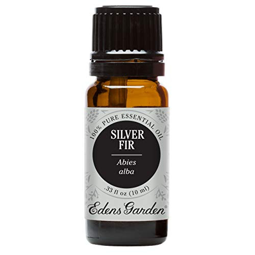 Edens Garden Silver Fir Essential Oil 100 Pure Therapeutic Grade Highest Quality Aromatherapy Oils Headaches Weight Loss 10 ml Edens Garden Silver Fir Essential Oil 100 Pure Therapeutic Grade Highest Quality Aromatherapy Oils Headaches Weight Loss 10 ml