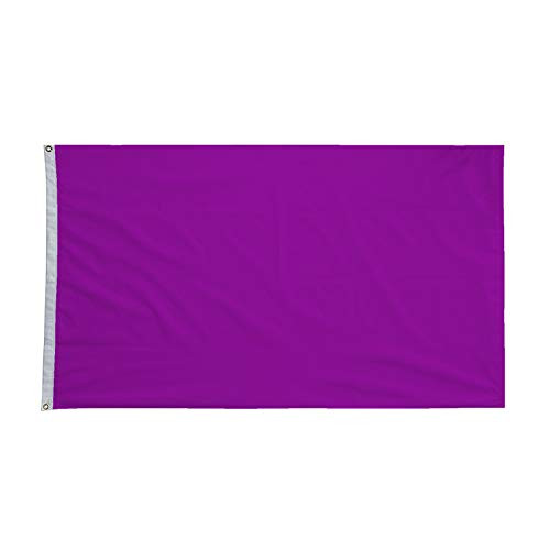 hxflag 3x5 Foot Solid Purple Flag  Plain Purple Flags