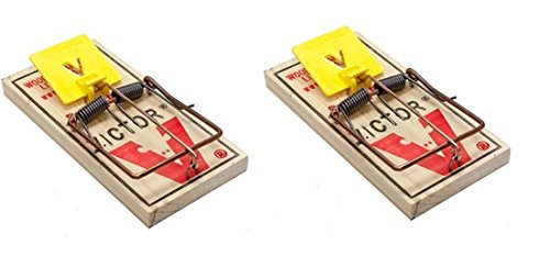 2 Victor M326 Pro Wood Rat Snap Traps ~~ Kill Rats and other rodents