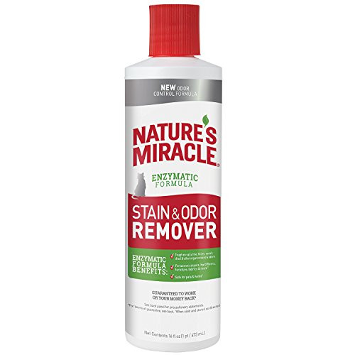 Natures Miracle P96973 Cat Stain and Odor Remover Pour 16 fl oz