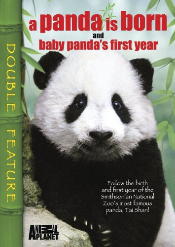 A Panda Is BornBaby Pandas First Year