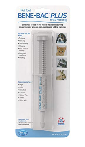 PetAg BeneBac Plus Pet Gel FOS Prebiotic and Probiotic Carded 15 gm