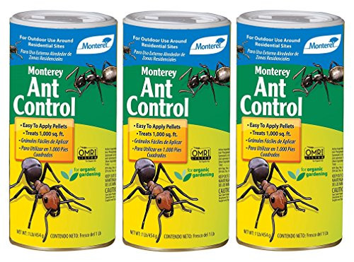 MONTEREY ANT CONTROL