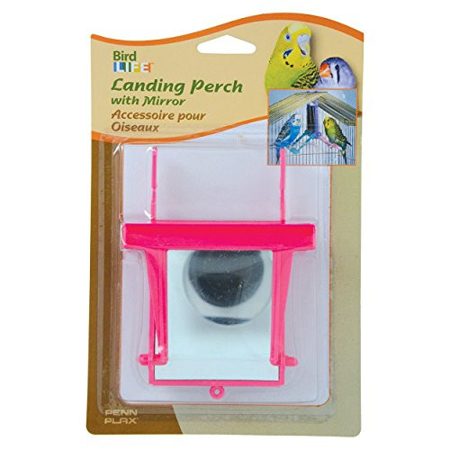 PennPlax 64559 Landing Perch with Mirror