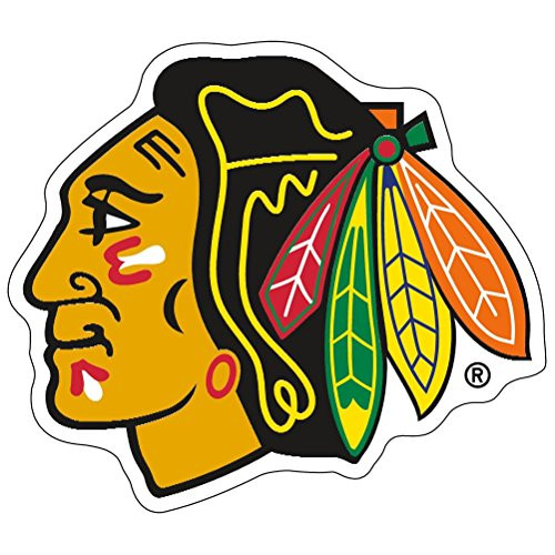 WinCraft NHL Chicago Blackhawks Premium Acrylic Carded Magnet