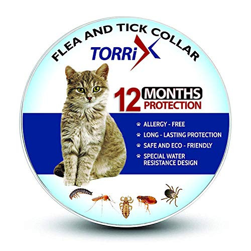 12pk  Mother of Pearl Soap  Jabon Concha Nácar  Grisi 35 Oz X 12 Units